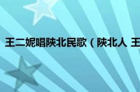 王二妮唱陕北民歌（陕北人 王二妮演唱歌曲相关内容简介介绍）