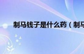 制马钱子是什么药（制马钱子散相关内容简介介绍）