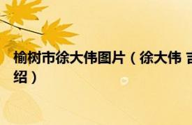 榆树市徐大伟图片（徐大伟 吉林榆树市黑恶人员相关内容简介介绍）