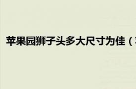 苹果园狮子头多大尺寸为佳（苹果园狮子头相关内容简介介绍）