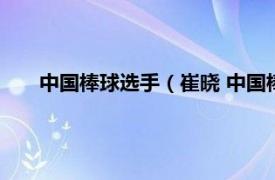 中国棒球选手（崔晓 中国棒球运动员相关内容简介介绍）