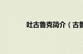 吐古鲁克简介（古鲁加相关内容简介介绍）