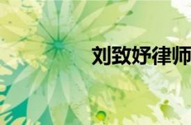 刘致妤律师和仲裁员简介