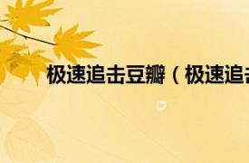 极速追击豆瓣（极速追击 游戏相关内容简介介绍）