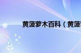 黄菠萝木百科（黄菠萝木相关内容简介介绍）