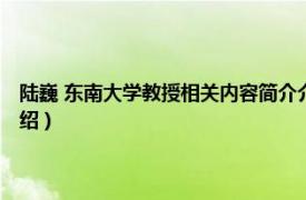 陆巍 东南大学教授相关内容简介介绍（陆巍 东南大学教授相关内容简介介绍）