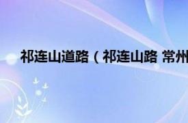 祁连山道路（祁连山路 常州市祁连山路相关内容简介介绍）