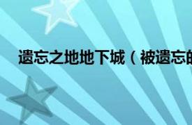 遗忘之地地下城（被遗忘的地下城2相关内容简介介绍）