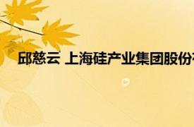 邱慈云 上海硅产业集团股份有限公司总裁相关内容简介介绍