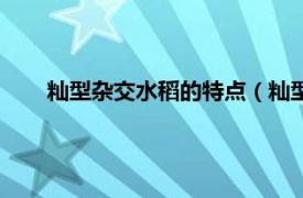 籼型杂交水稻的特点（籼型杂交水稻相关内容简介介绍）