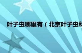 叶子虫哪里有（北京叶子虫科技有限公司相关内容简介介绍）