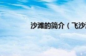 沙滩的简介（飞沙滩相关内容简介介绍）