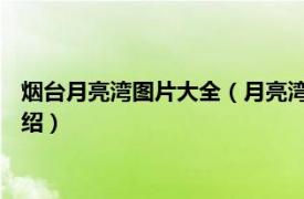 烟台月亮湾图片大全（月亮湾 山东省烟台市景区相关内容简介介绍）