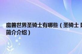 魔兽世界圣骑士有哪些（圣骑士 网络游戏《魔兽世界》中的职业相关内容简介介绍）