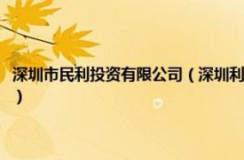 深圳市民利投资有限公司（深圳利民网投资管理有限公司相关内容简介介绍）