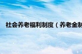 社会养老福利制度（养老金制度 福利制度相关内容简介介绍）