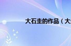 大石圭的作品（大圭相关内容简介介绍）