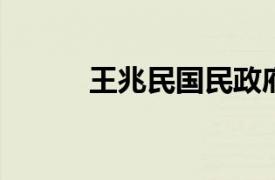 王兆民国民政府立法院议员简介