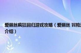 爱丽丝疯狂回归游戏攻略（爱丽丝 冒险游戏《爱丽丝疯狂回归》中的人物相关内容简介介绍）