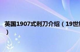 英国1907式刺刀介绍（19世纪英军插座式刺刀相关内容简介介绍）