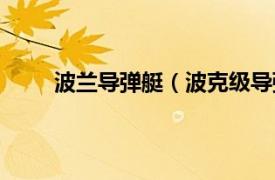 波兰导弹艇（波克级导弹快艇相关内容简介介绍）