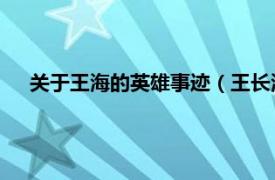 关于王海的英雄事迹（王长海 抗战英雄相关内容简介介绍）