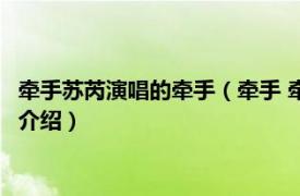 牵手苏芮演唱的牵手（牵手 牵手 苏芮专辑《牵手》相关内容简介介绍）