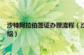 沙特阿拉伯签证办理流程（沙特阿拉伯商务签证相关内容简介介绍）