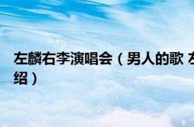 左麟右李演唱会（男人的歌 左麟右李发行的专辑相关内容简介介绍）