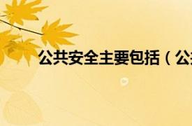 公共安全主要包括（公共安全相关内容简介介绍）