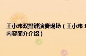 王小玮双排键演奏现场（王小玮 玖月教育创始人、青年双排键演奏家相关内容简介介绍）