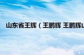 山东省王辉（王鹏辉 王鹏辉山东大学教授相关内容简介介绍）