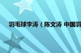 羽毛球李涛（陈文涛 中国羽毛球运动员相关内容简介介绍）