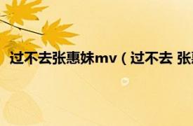 过不去张惠妹mv（过不去 张惠妹演唱歌曲相关内容简介介绍）