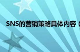 SNS的营销策略具体内容（SNS营销相关内容简介介绍）