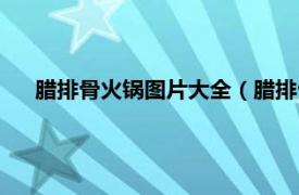 腊排骨火锅图片大全（腊排骨麻辣火锅相关内容简介介绍）