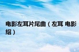 电影左耳片尾曲（左耳 电影《左耳》同名主题曲相关内容简介介绍）