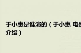 于小惠是谁演的（于小惠 电影《火锅英雄》中人物相关内容简介介绍）