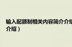 输入配额制相关内容简介介绍怎么写（输入配额制相关内容简介介绍）