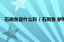 石斑鱼是什么科（石斑鱼 鲈形目鮨科动物相关内容简介介绍）