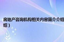 房地产咨询机构相关内容简介介绍怎么写（房地产咨询机构相关内容简介介绍）