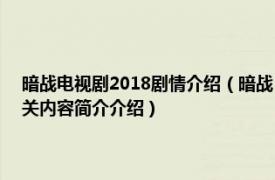 暗战电视剧2018剧情介绍（暗战 2015年邢键钧、栗心博执导的电视剧相关内容简介介绍）