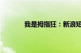 我是拇指狂：新浪短信手指通相关内容简介