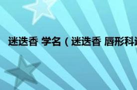 迷迭香 学名（迷迭香 唇形科迷迭香属植物相关内容简介介绍）