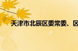 天津市北辰区委常委、区纪委书记、区监委主任国盈