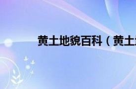 黄土地貌百科（黄土地貌相关内容简介介绍）