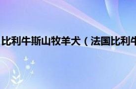 比利牛斯山牧羊犬（法国比利牛斯山向导猎犬相关内容简介介绍）