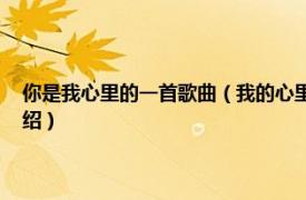 你是我心里的一首歌曲（我的心里只有你 何秋苹演唱歌曲相关内容简介介绍）