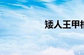 矮人王甲相关内容简介