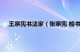 王宗宪书法家（张宗宪 榜书家、书法家相关内容简介介绍）